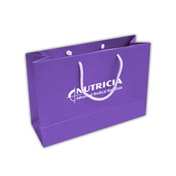 Carton Bag