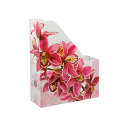 Carton File Folder Holder