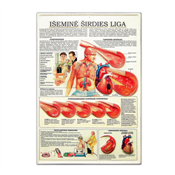 Medical Wall Board with Relief