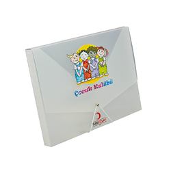 Transparent File Folder